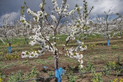 IMG_20210421_123041825_HDR