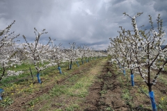 IMG_20210421_123102279_HDR