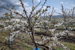 IMG_20210421_123131712_HDR
