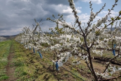 IMG_20210421_123134426_HDR