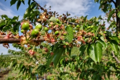 IMG_20210504_093855433_HDR