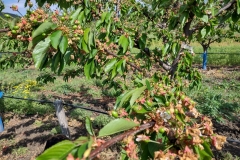 IMG_20210504_093917945_HDR