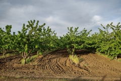 IMG_20210507_190741540_HDR