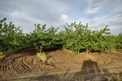 IMG_20210507_190745732_HDR