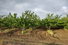 IMG_20210507_190750571_HDR