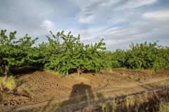 IMG_20210507_190756803_HDR
