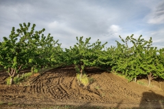 IMG_20210507_190802131_HDR
