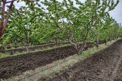 IMG_20210508_112953960_HDR