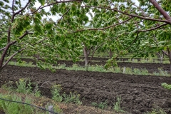 IMG_20210508_113001314_HDR
