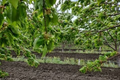 IMG_20210508_113012191_HDR
