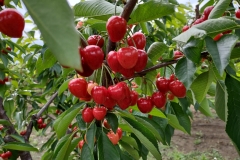 IMG_20210612_092035224_HDR